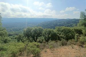 Terreno di 12000 m² a Monti