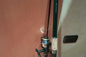 specimen feeder an1234