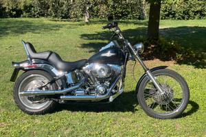 Harley Davidson FXSTC Softail Custom