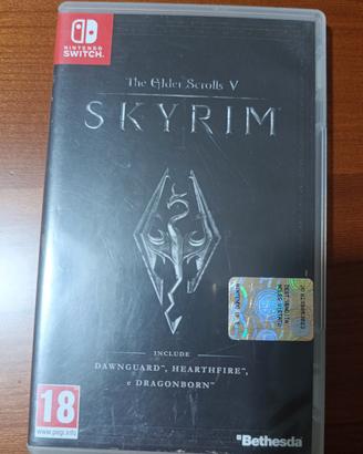 videogioco 