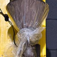 2x lampade rinoceronte SCONTO