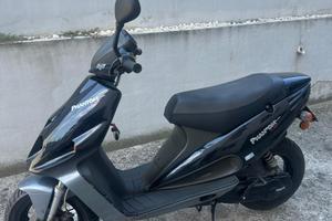 phantom f12 1997 originale