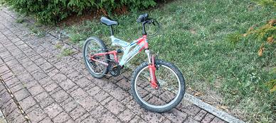 bicicletta ragazzo 20 pollici ammortizzata 