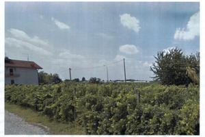 Terreno edificabile 908 mq a buttapietra