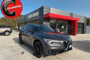 Alfa Romeo Stelvio 2.2 TD 180CV Q4 Super CERCHI 20