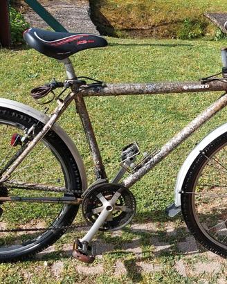 mountain bike Bandiziol