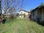 Immagine 23