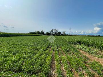 TER. AGRICOLO A SULBIATE