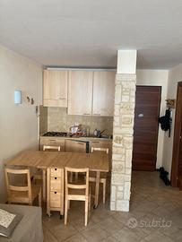 Bilocale Prato Nevoso zona stalle lunghe (CN) 40mq