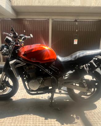 Kawasaki er5