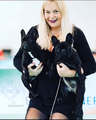 Cucciola Bulldog Francese