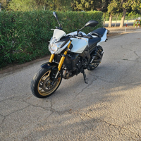 Fz8 2010