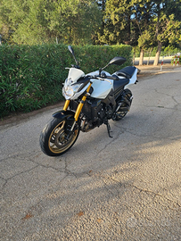 Fz8 2010