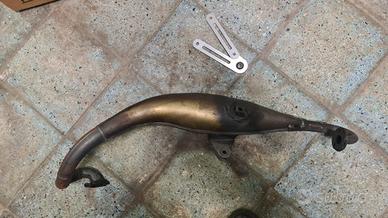 Pancia gianelli shot V2 “extra”