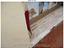 Immagine 10