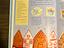 Immagine 6