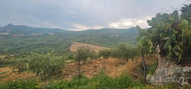 Terreno agricolo edificabile contrada Baglio