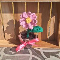 piantina all'uncinetto margherita 