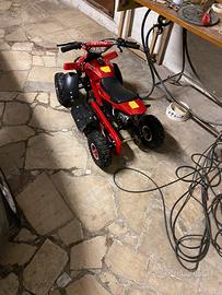 Quad a motore