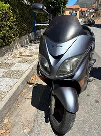 Honda Forza PGM-FI