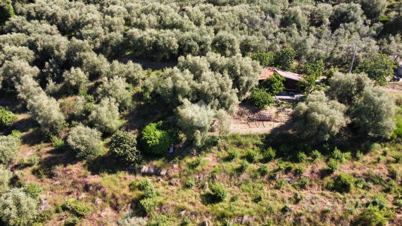 RUSTICO A PERINALDO - Vista 3