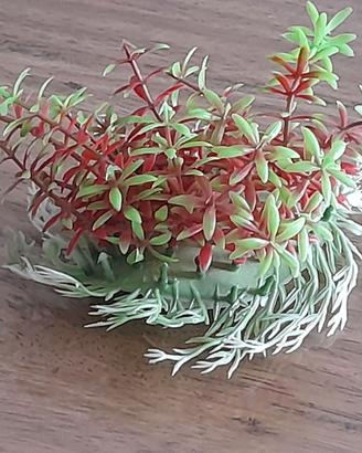 accessorio per acquario come da foto