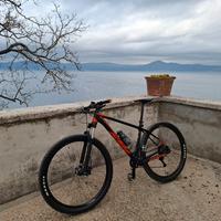 Mtb KTM Myroon carbonio