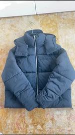 Puffer Cold Culture