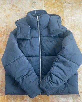 Puffer Cold Culture