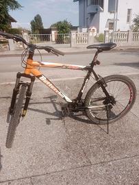 Mountain bike Bottecchia FX520