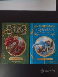 Set 2 libri di J.K. Rowling