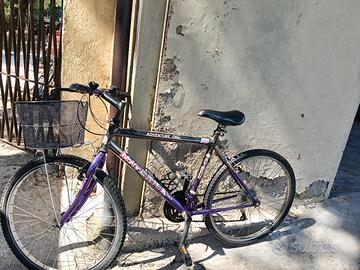 MTB funzionante 