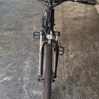 bici elettrica 