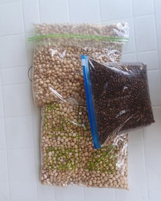 noccioli ciliegia e uva