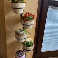 Vasetti porta piantine