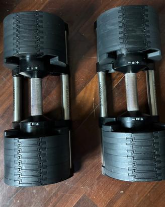 Coppia manubri regolabili  2-32kg LACERTOSUS