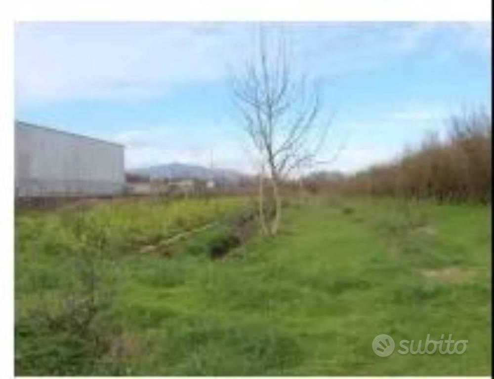 Immobile in asta di 3000 m² a Caianello - Vista 2