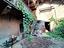 Immagine 12