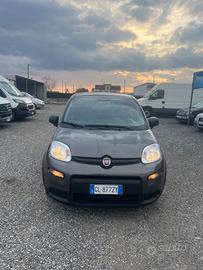 Fiat Panda 1.0 FireFly S&S Hybrid City Cross