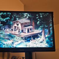 Tv led dvb 22 pollici philips con braccio tv