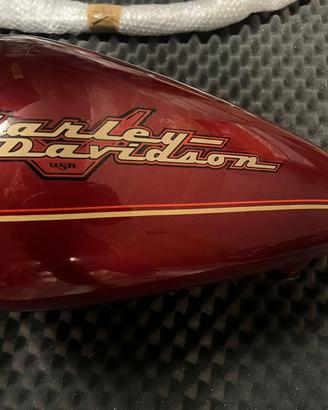 accessori Harley Davidson