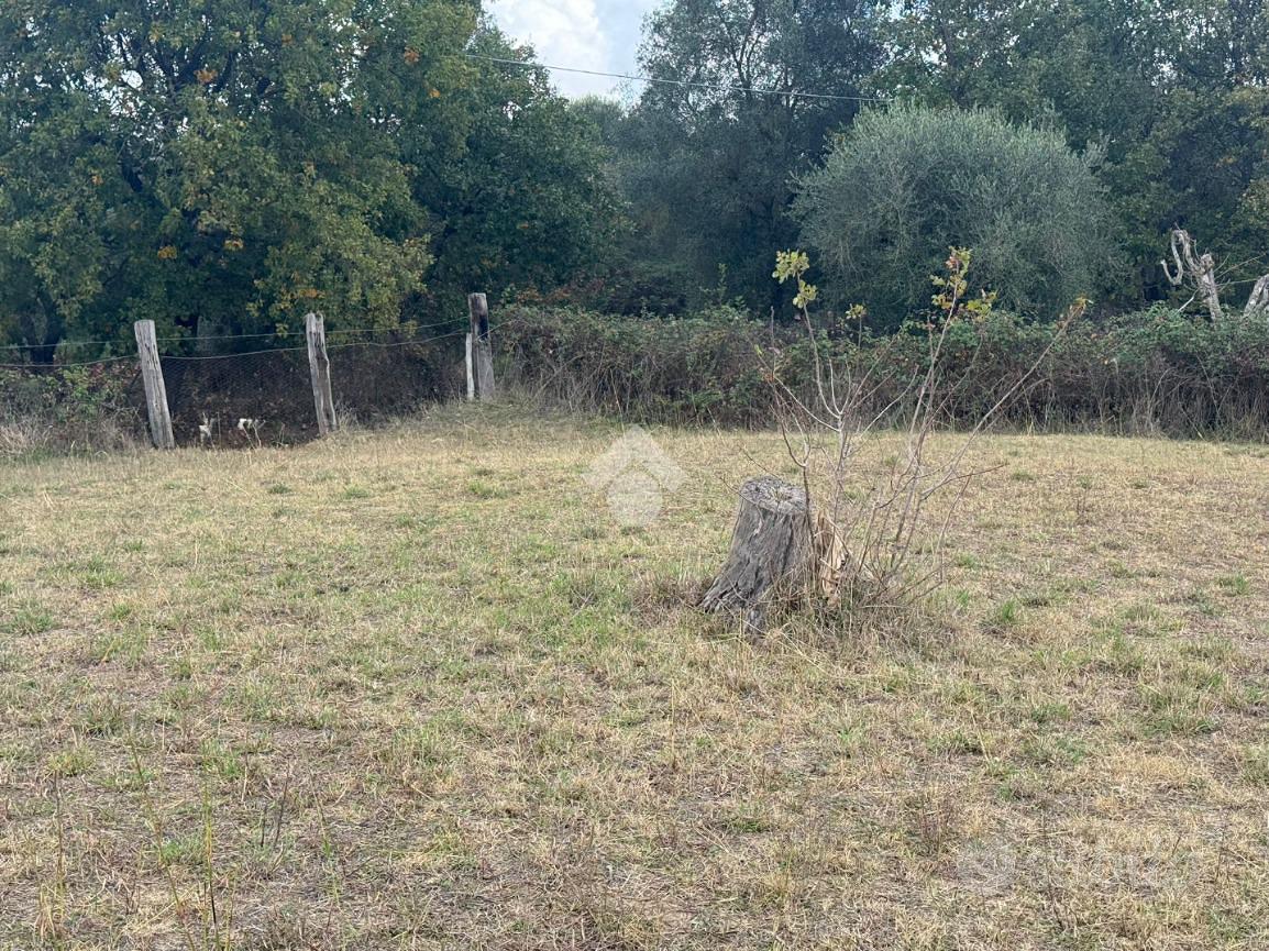TER. AGRICOLO A SANT'ANGELO ROMANO - Vista 2
