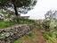 Immagine 22