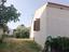 Immagine 9