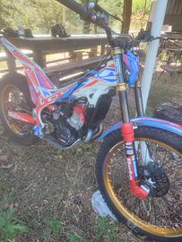 Beta evo factory 2020