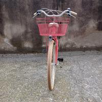 Bicicletta da ragazza Adriatica - modello Panda
