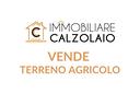 vendita-terreno-agricolo-c-da-monache-lizzano