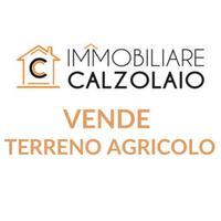 Vendita terreno agricolo c.da monache Lizzano