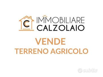Vendita terreno agricolo c.da monache Lizzano