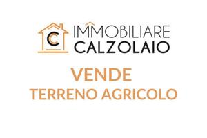 Vendita terreno agricolo c.da monache Lizzano
